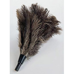 Feather Duster  - 15 inch plume