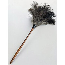 Feather Duster - 10 inch plume