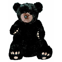 Bear Family - Ben